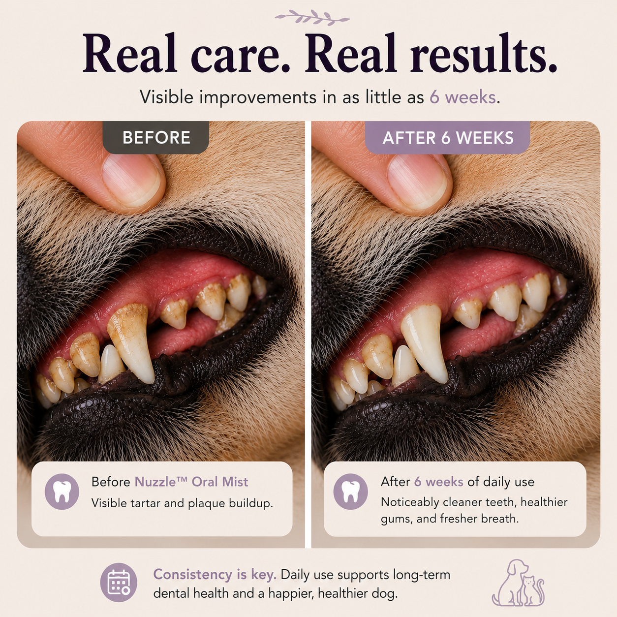 Nuzzle™ Oral Mist