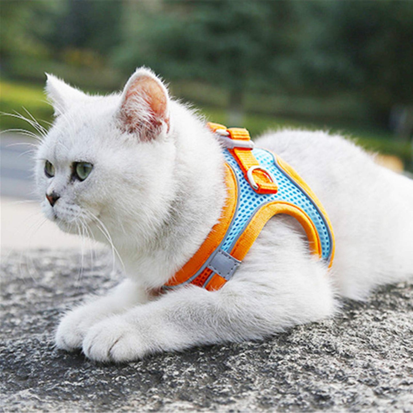 Catsplorer™ Adventure Harness