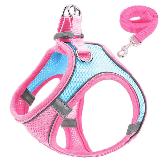 Catsplorer™ Adventure Harness
