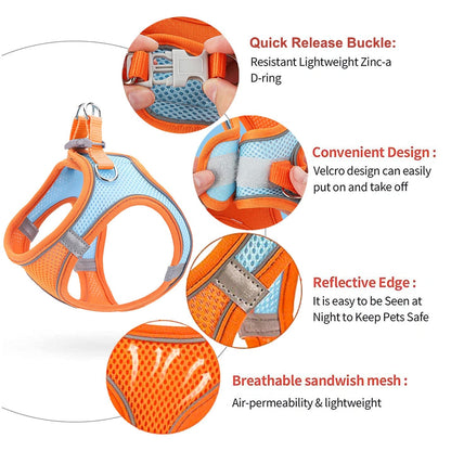 Catsplorer™ Adventure Harness