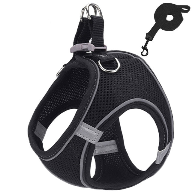 Catsplorer™ Adventure Harness