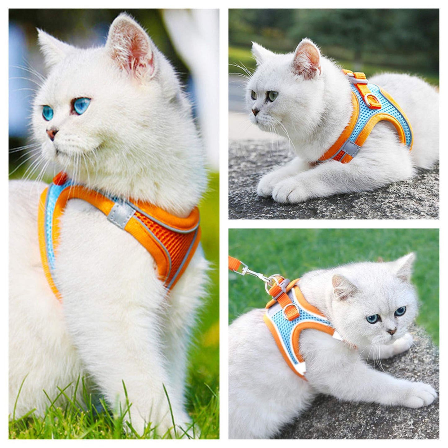 Catsplorer™ Adventure Harness