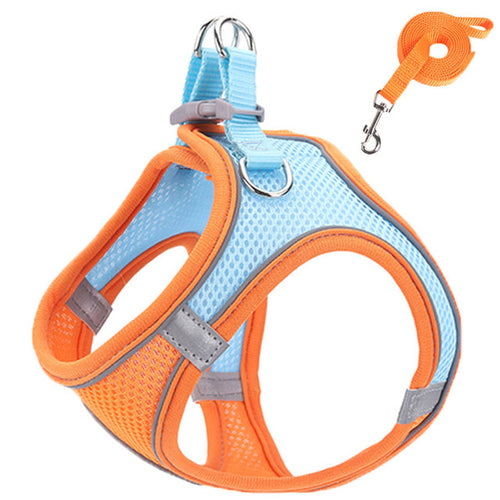 Catsplorer™ Adventure Harness