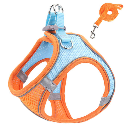 Catsplorer™ Adventure Harness